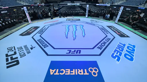 UFC готовит изменения в системе рейтингов бойцов