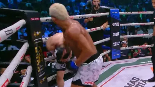 Бывший боец UFC Диего Брандао техническим нокаутом победил Жумана Жумабекова на IBA Nomad 15