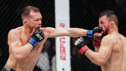 Петр Ян победил Мераба Двалишвили в трилогии и защитил титул чемпиона UFC