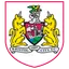 Team logo