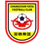 Team logo