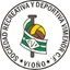 Team logo