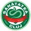 Team logo