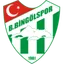 Team logo