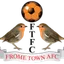 Team logo