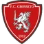 Team logo