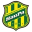 Team logo