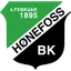 Team logo