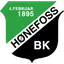 Team logo