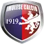 Team logo