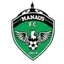 Team logo