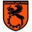 Team logo