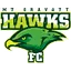 Team logo