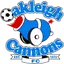 Team logo