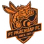Team logo