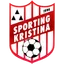 Team logo