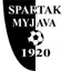 Team logo