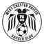 Team logo