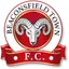 Team logo