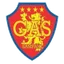 Team logo