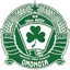 Team logo