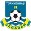 Team logo