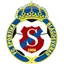 Team logo
