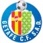 Team logo