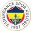 Team logo