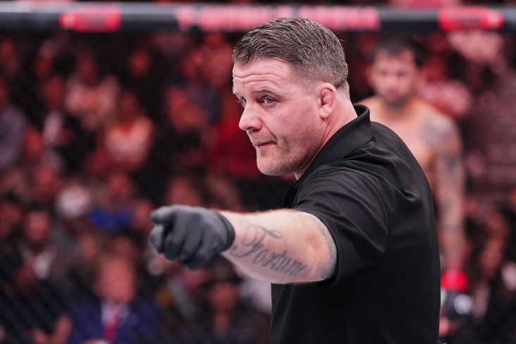 UFC планирует изменить правило трех точек опоры, из-за которого пострадали Ян и Анкалаев