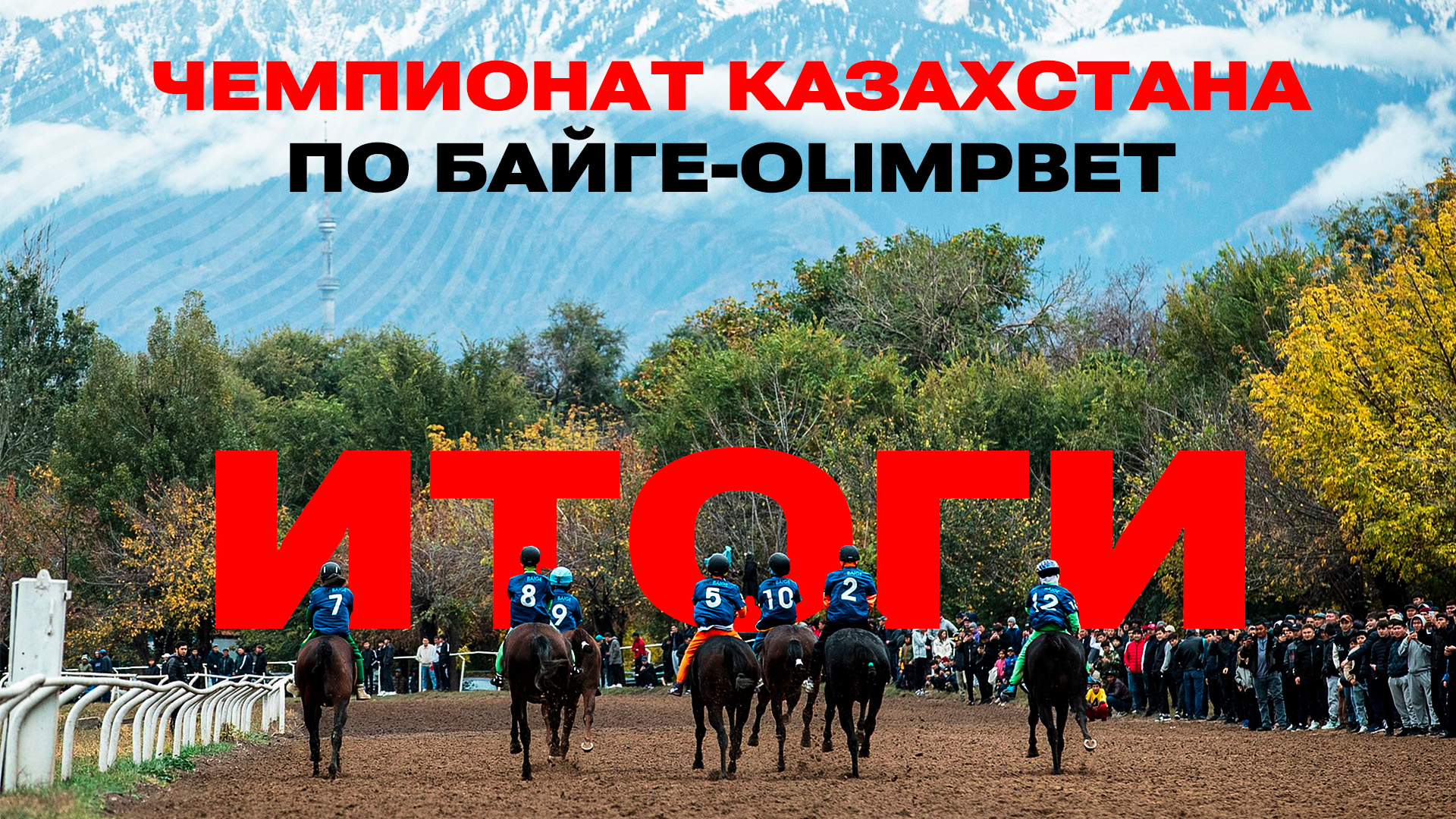 В Olimpbet подвели итоги самого масштабного чемпионата Казахстана по национальным скачкам – байге