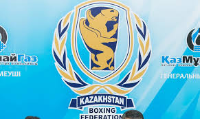 Казахстан занял первое место в общем рейтинге боксерских ассоциаций