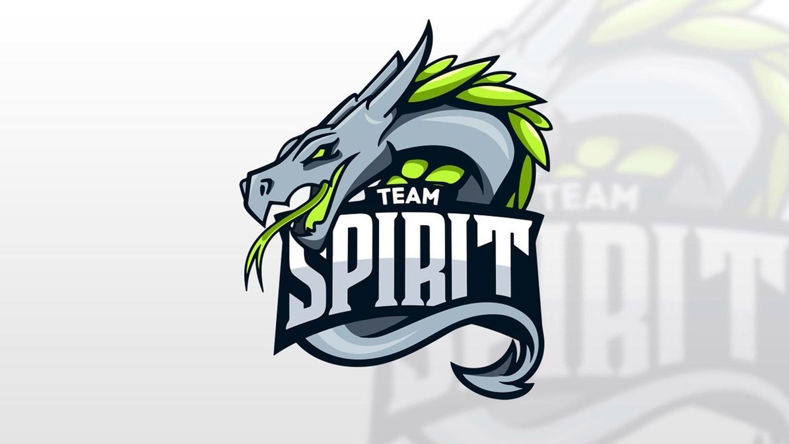 Fnatic — Team Spirit: прямая трансляция и коэффициенты на матч OGA Dota PIT Invitational