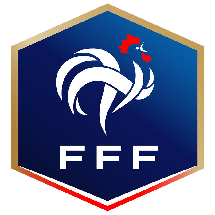 Ставки и коэффициенты на матчи сборной Франции: смогут ли «Синие» выиграть группу D?