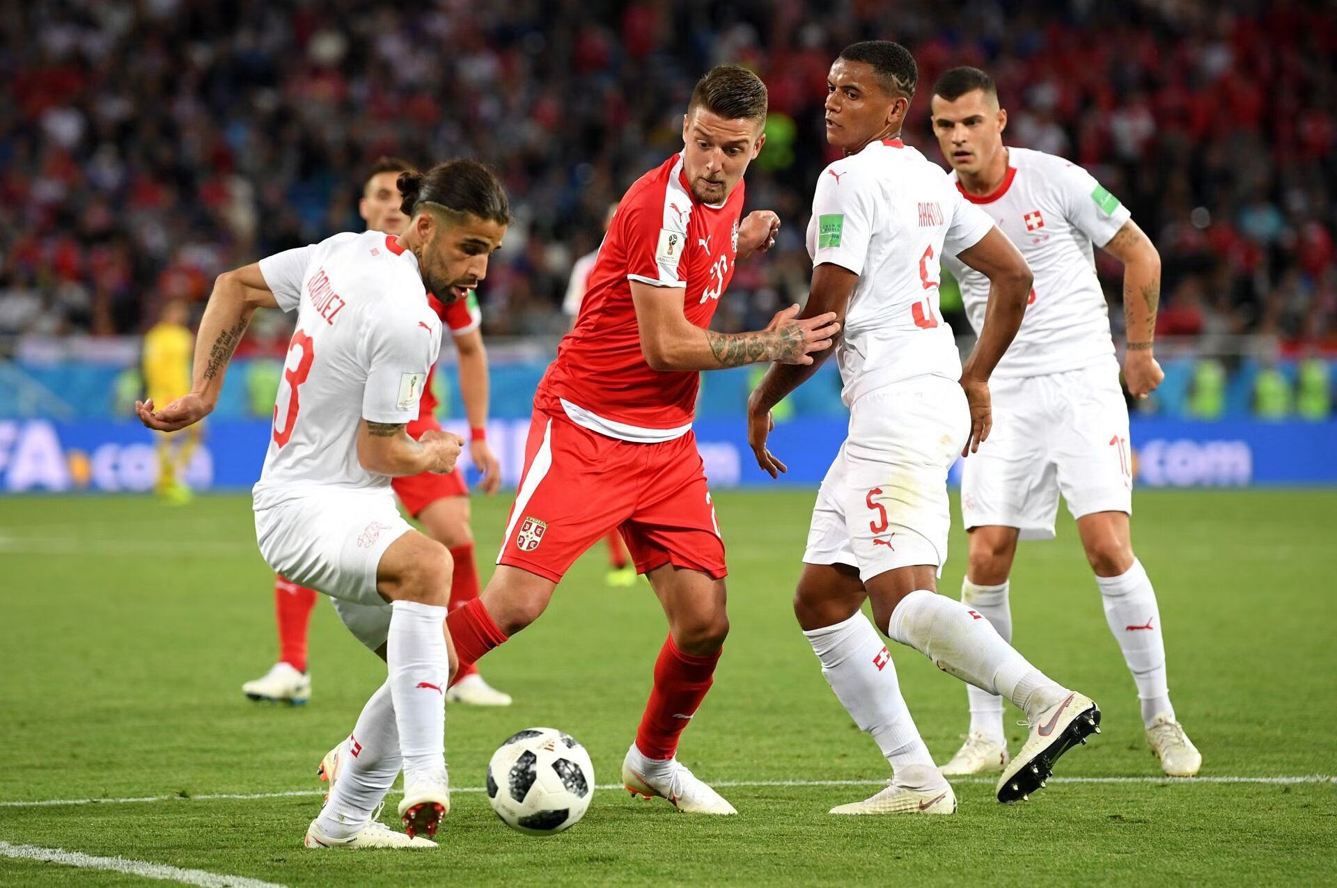 Сербия – Швейцария: коэффициенты и ставки на матч 2 декабря